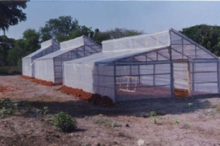 GreenHouse