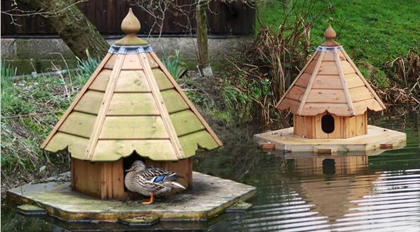 Duck House