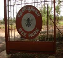 TNAU and apiculture