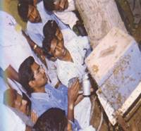 TNAU and apiculture
