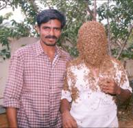 TNAU and apiculture