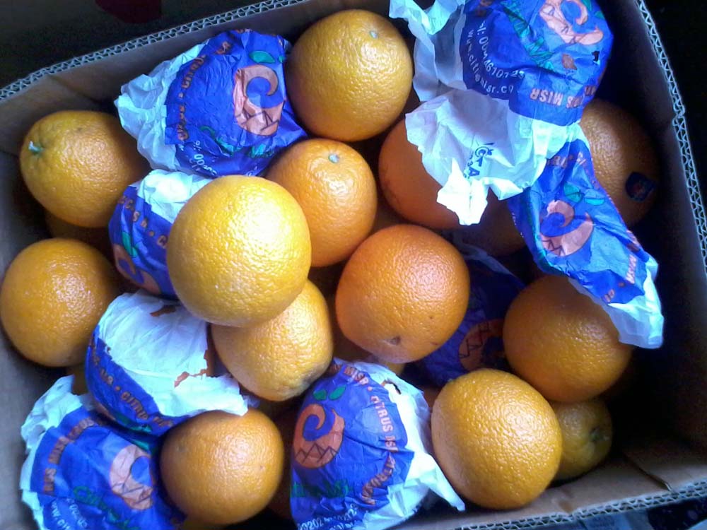 Mandarin orange