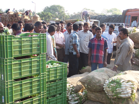 Farmers at market