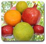 Fruit Crops