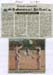 tnau_news_mar-2011 (2)