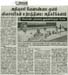 tnaunewsapril2013 (2)