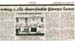 tnaunewsfeb2013 (17)