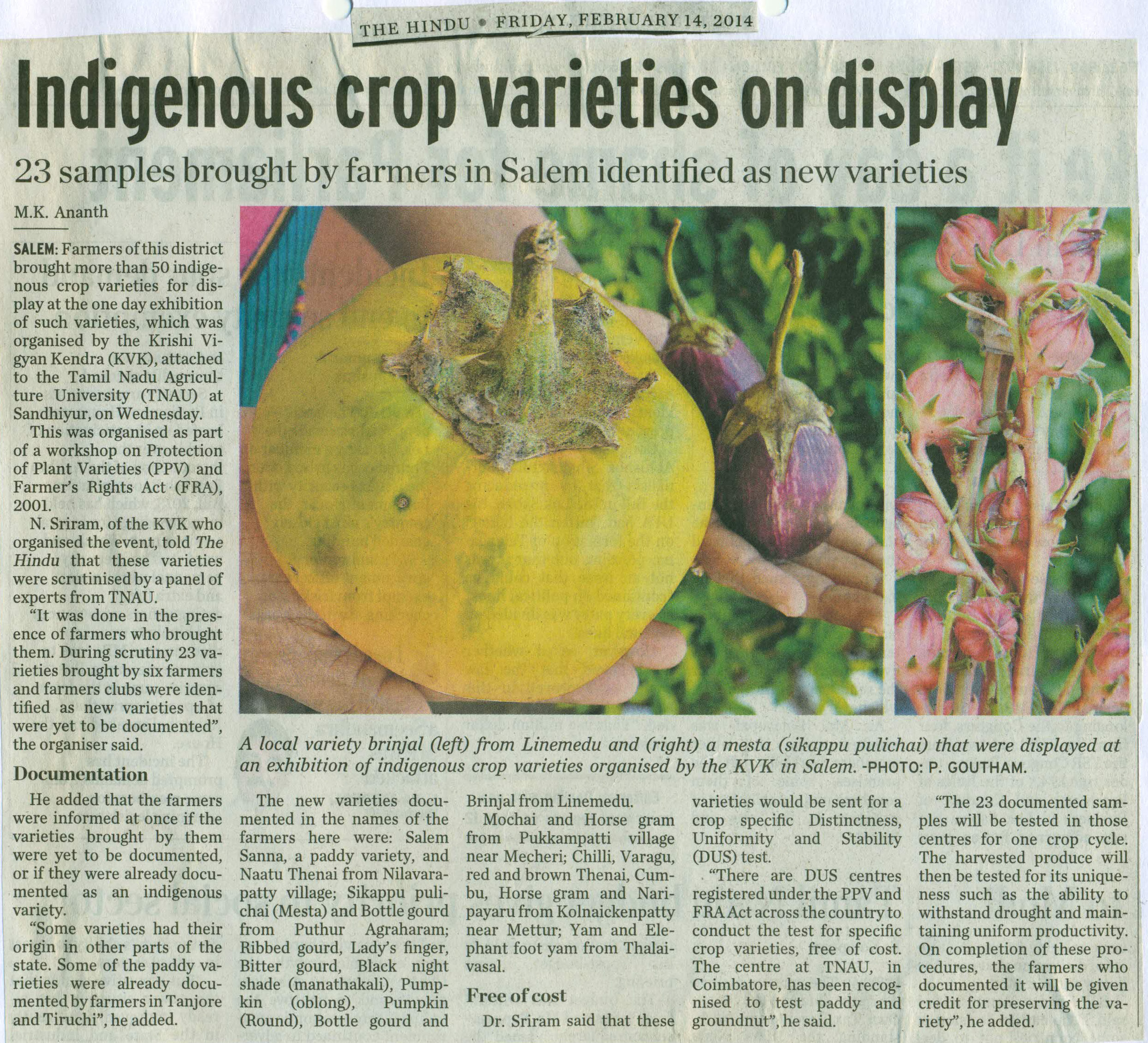 tnaunewsfeb2014_Page_033