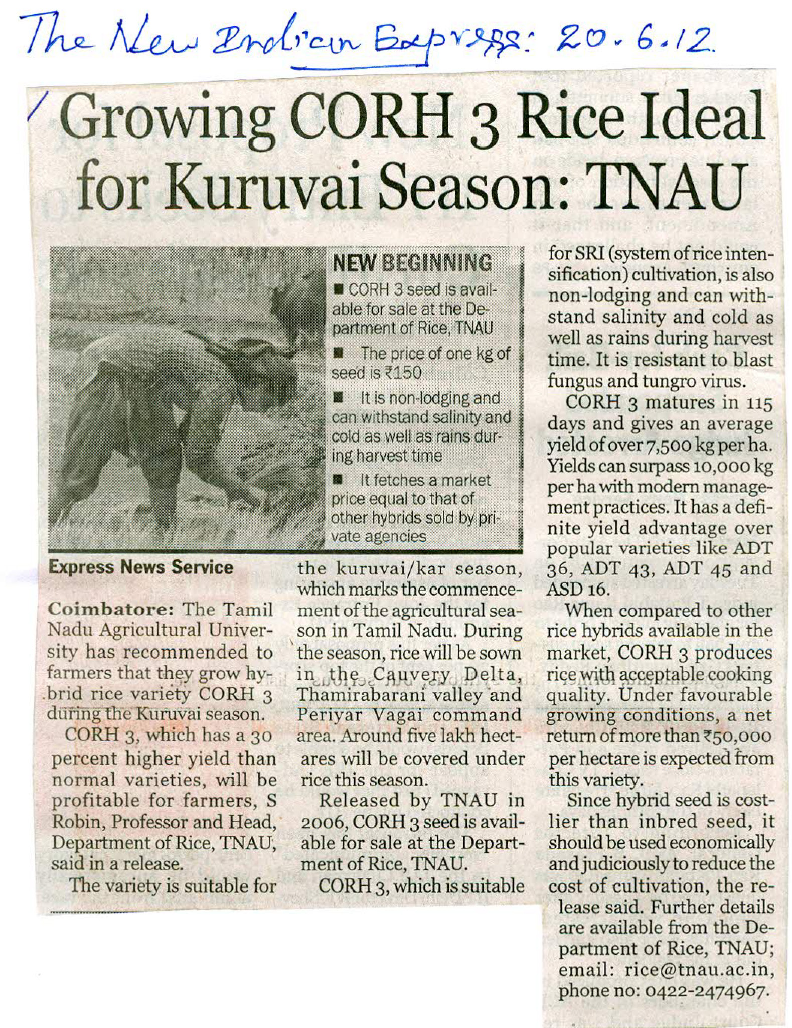 tnaunewsjune2012 (27)