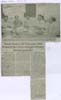 tnaunewsnov2011 (55)